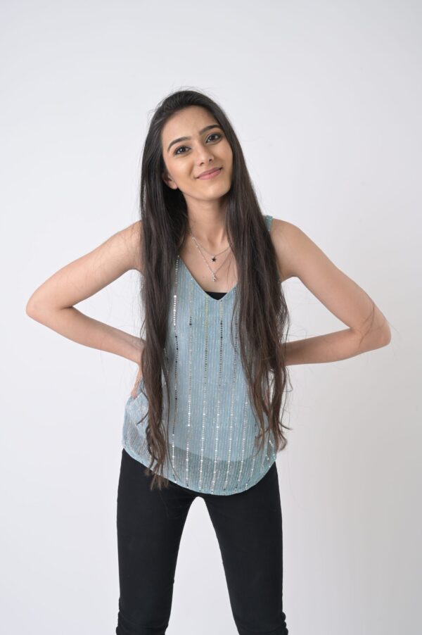 Net Fabric Sequin Top
