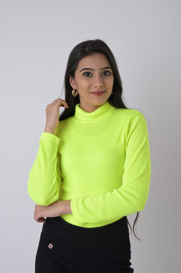 Rib fabric Full Sleeve High Neck Top