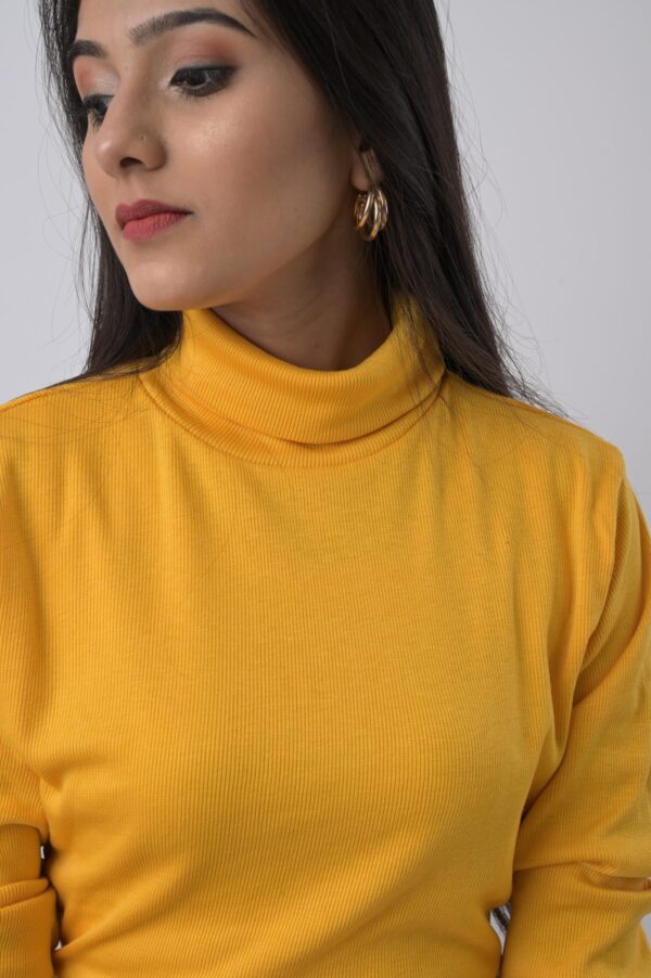 Women’s Rib Fabric High Neck Full Sleeve Top
