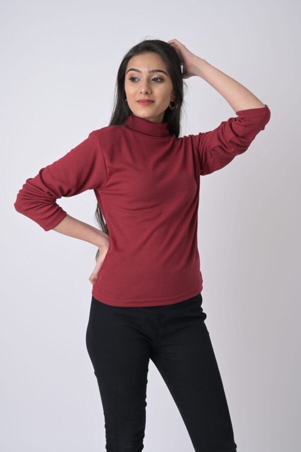 Rib Fabric High Neck Full Sleeve Top - Image 4